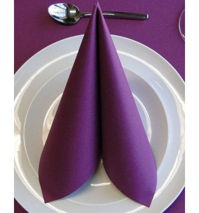 SERV.40-1 TSCLASS BERENJE.C/600
