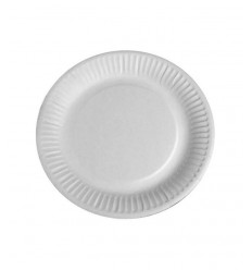 PLATO CARTON 27 CM. 15008 P/100