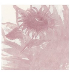 SERVILL.GIRASOL BURDEOS C/1000