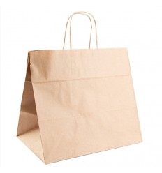 BOLSA PAPEL ASA CORDON MD *R167.19* C/250