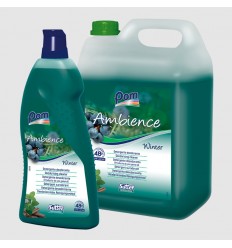 DETERGENTE AMBIENTADOR WINTER G/5