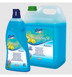 DETERGENTE AMBIENTADOR AUTUMN G/5