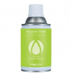 CARGA AMB. POUVOIR FRAIS 250 ML.