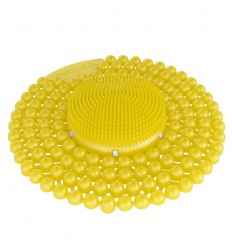 TAMIZ P-SCREEN CITRUS MANGO BACTERIO 60D P/2