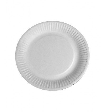 PLATO CARTON 27 CM. 15008 P/100