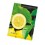 TOALLITA LIMON C/500