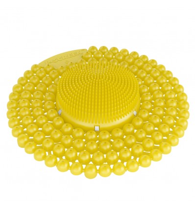 TAMIZ P-SCREEN CITRUS MANGO BACTERIO 60D P/2